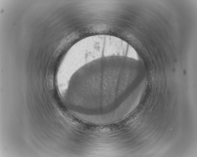 X0000069820640200606161916