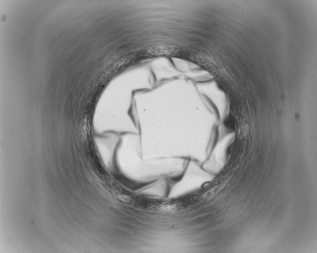 X0000069820647200606161916