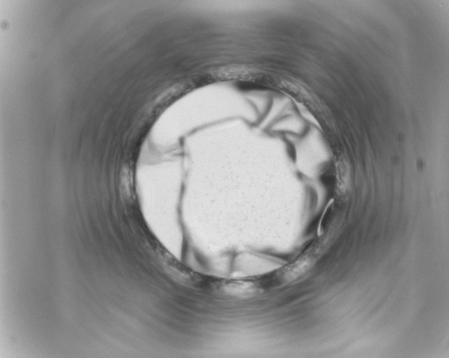 X0000069820669200606161916