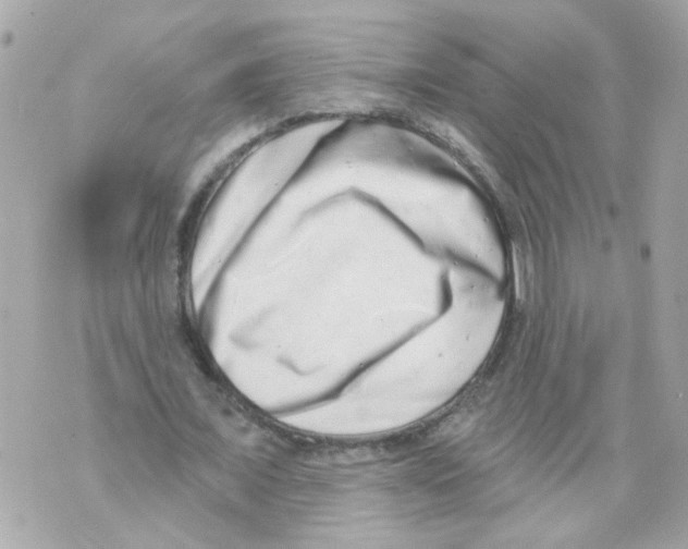 X0000069820675200606161915