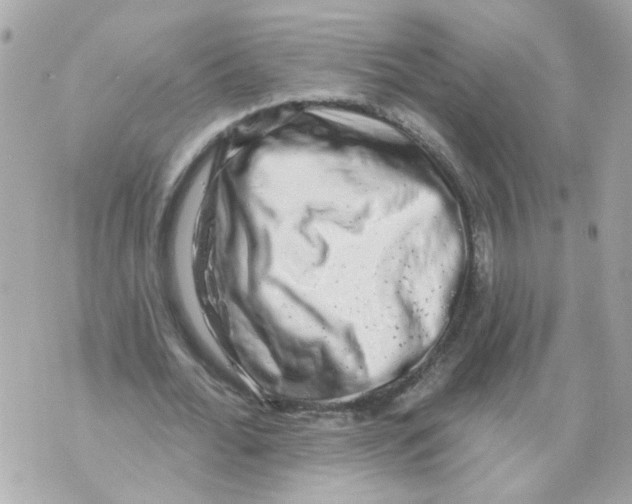 X0000069820676200606161915