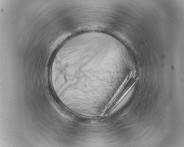 X0000069820678200606161915