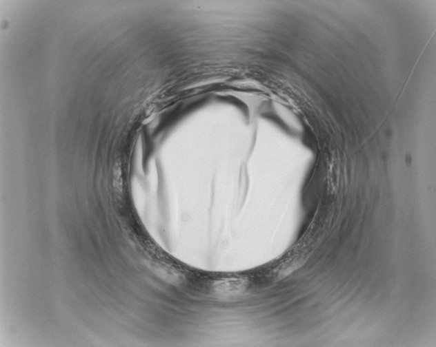 X0000069820700200606161915