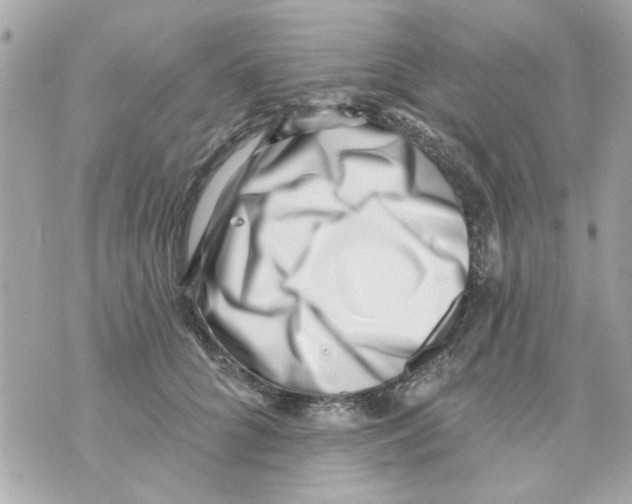 X0000069820704200606161915