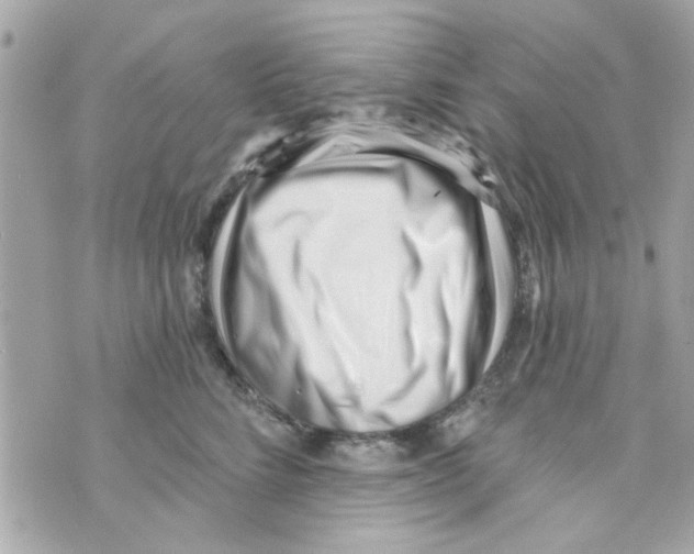 X0000069820712200606161915