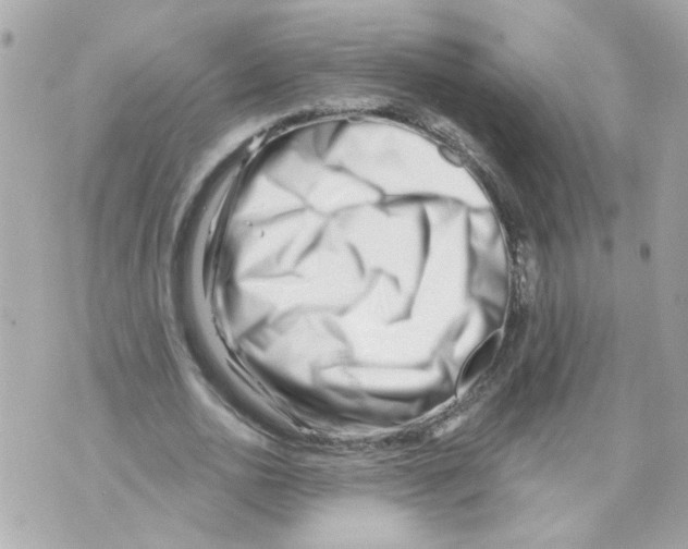X0000069820726200606161914