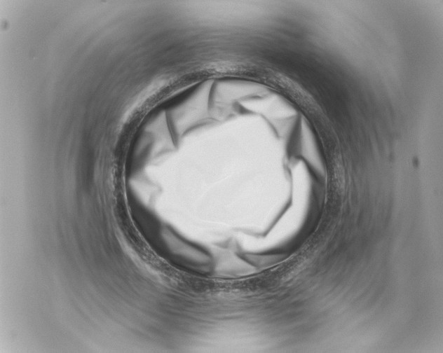X0000069820730200606161914
