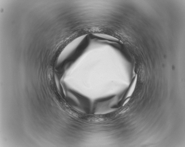 X0000069820747200606161914