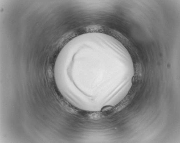 X0000069820761200606161915