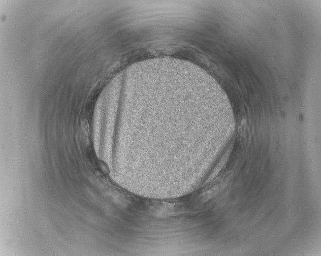 X0000069820772200606161914