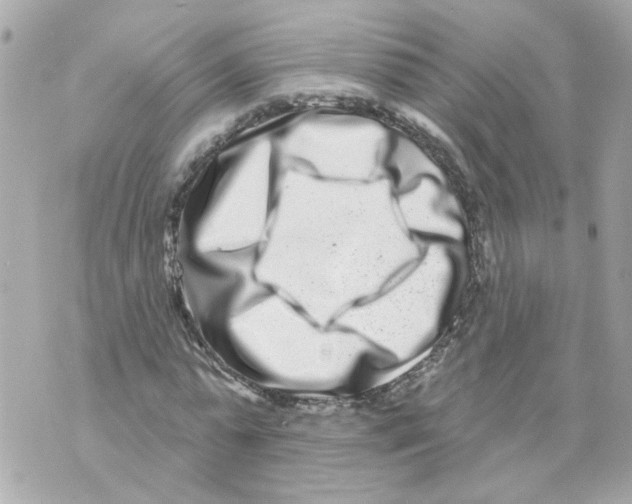 X0000069820775200606161914