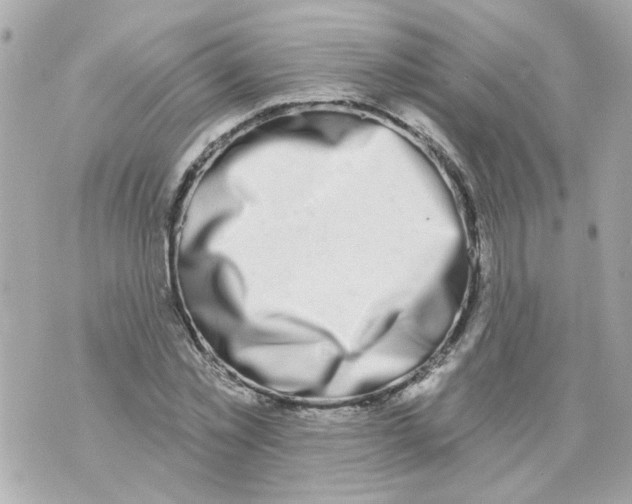 X0000069820781200606161914