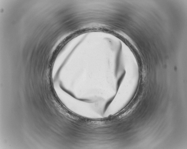 X0000069820783200606161914