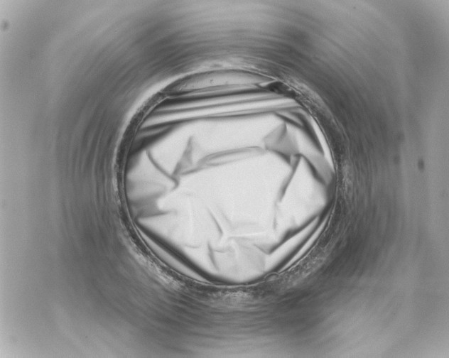 X0000069820784200606161914