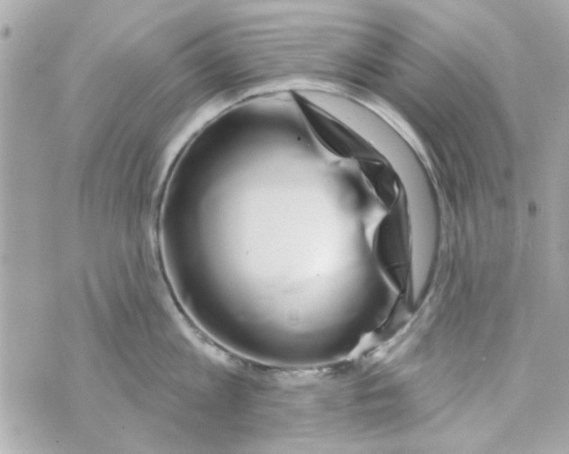 X0000069820813200606161913