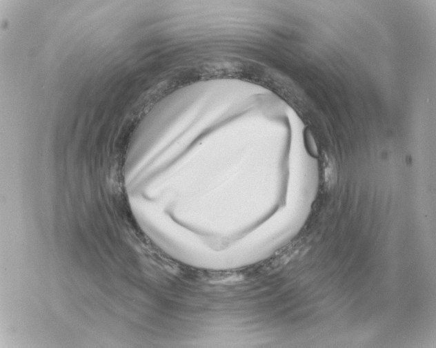 X0000069820819200606161912