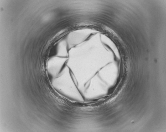 X0000069820825200606161912