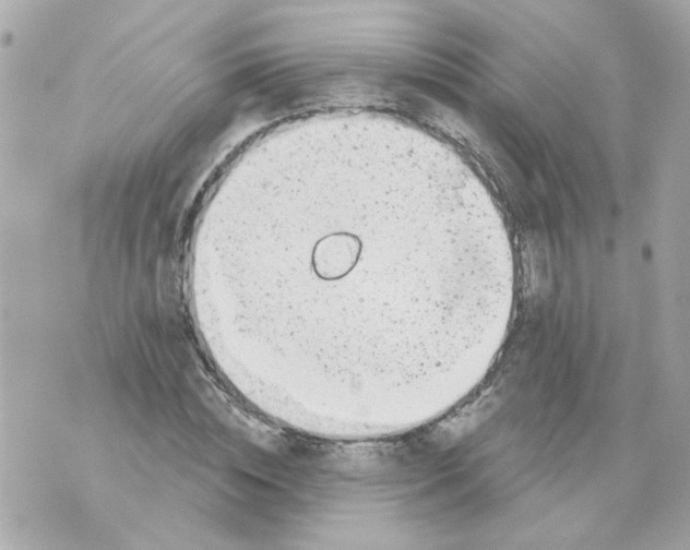 X0000069820828200606161912