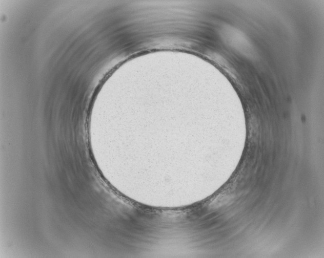 X0000069820848200606161913