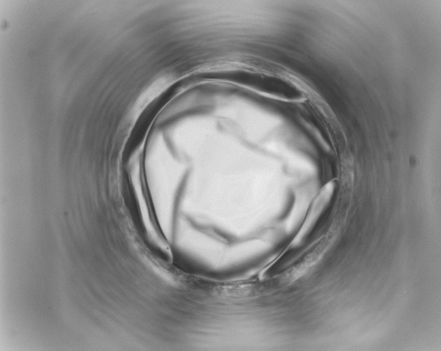 X0000069820858200606161913