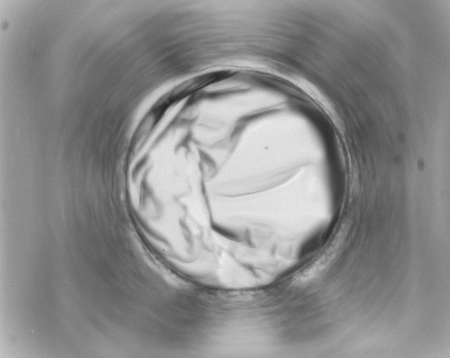 X0000069820862200606161913