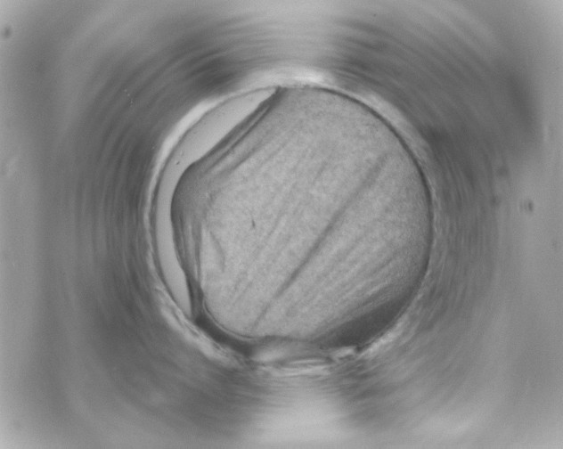 X0000069820864200606161913