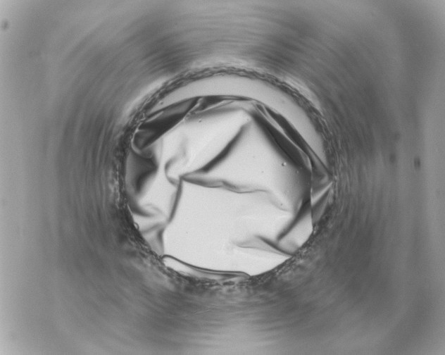 X0000069820872200606161912