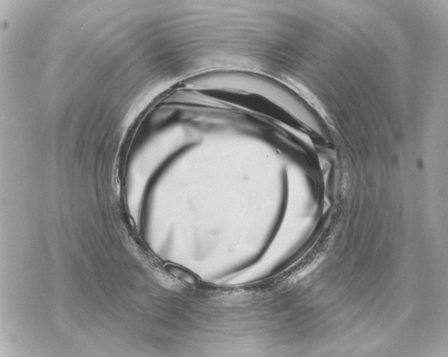 X0000069820885200606161912