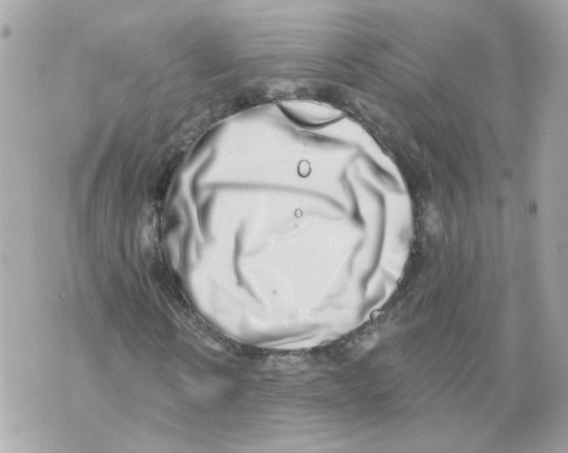 X0000069820914200606161911