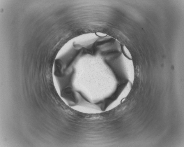 X0000069820915200606161911