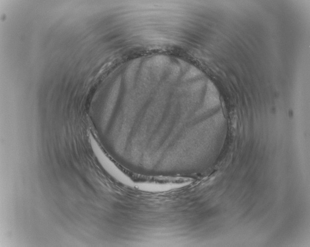 X0000069820916200606161911