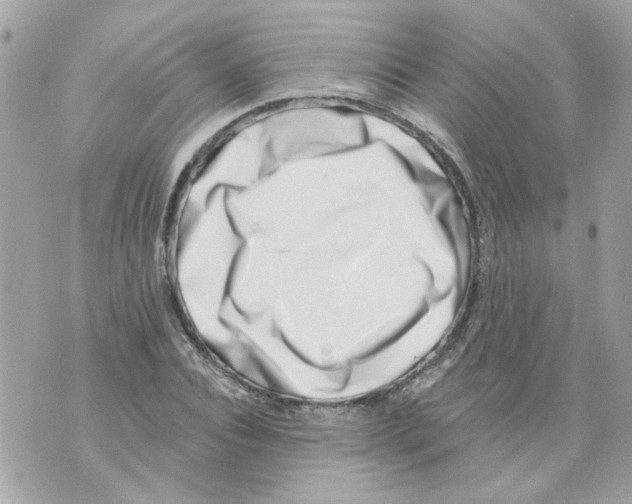 X0000069820928200606161911
