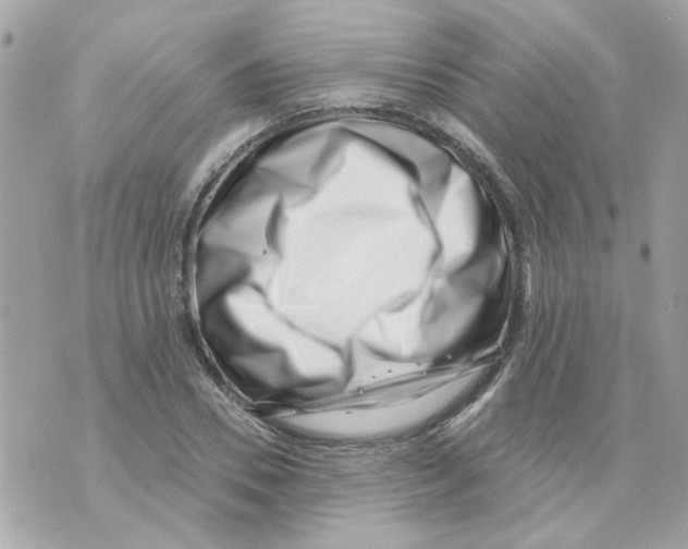 X0000069820930200606161911