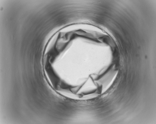 X0000069820959200606161911