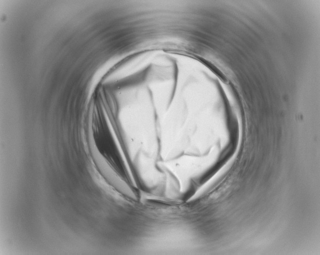 X0000069820960200606161911