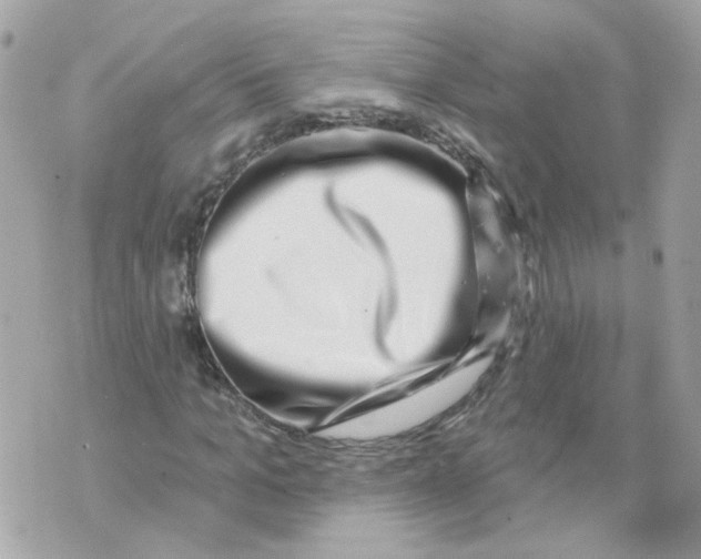 X0000069820965200606161911