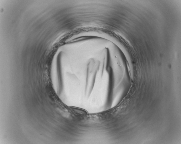 X0000069820968200606161910