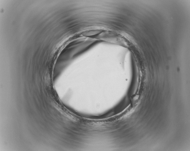 X0000069820969200606161910