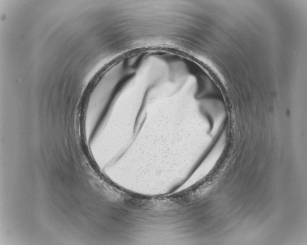 X0000069820983200606161910