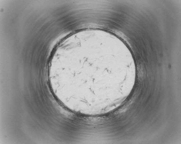 X0000069820987200606161910