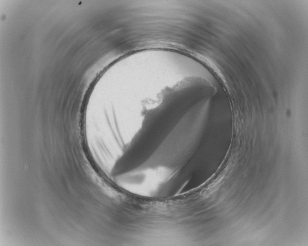X0000069820995200606161910