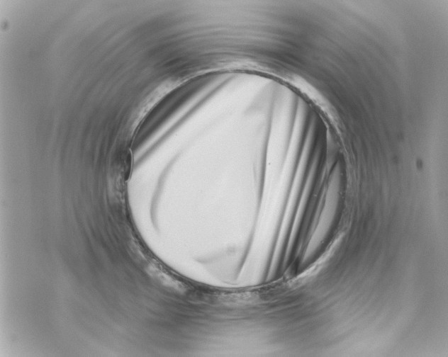 X0000069821001200606161910