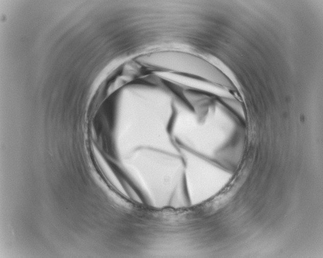 X0000069821005200606161910