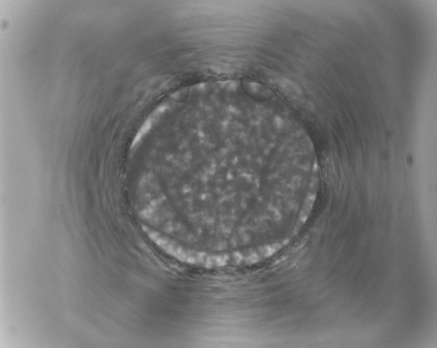 X0000069821009200606161909