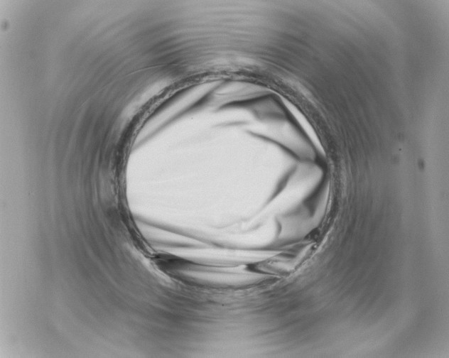 X0000069821018200606161909