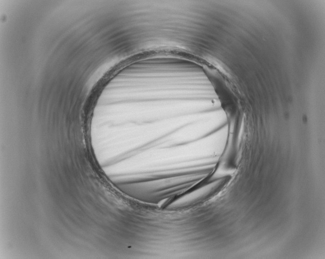 X0000069821022200606161909