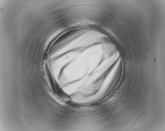 X0000069821026200606161909