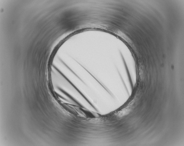 X0000069821028200606161909