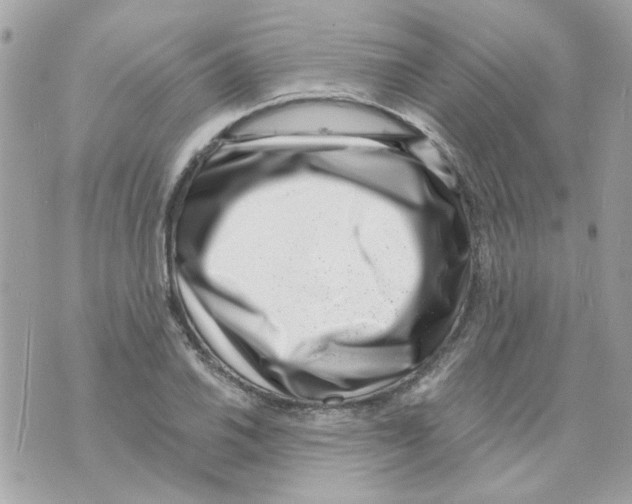 X0000069821030200606161909