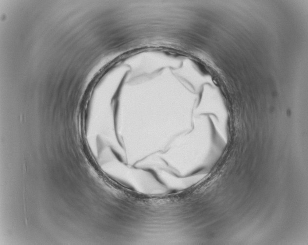 X0000069821032200606161909